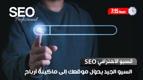 Mita Pro SEO
